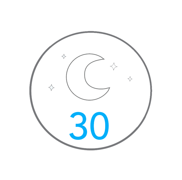 section-icon